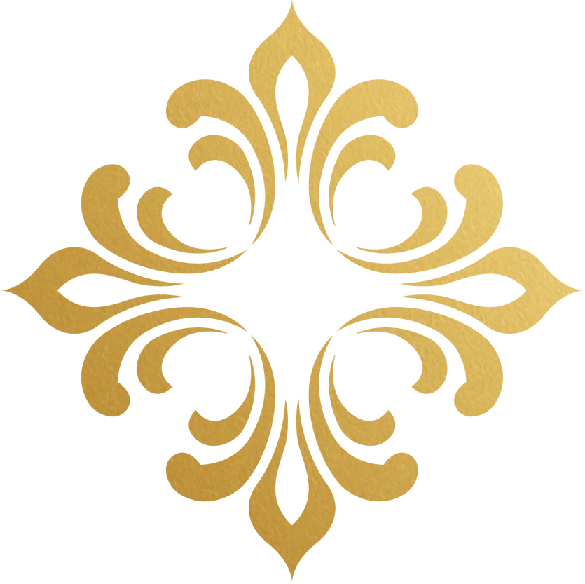 selynor.com