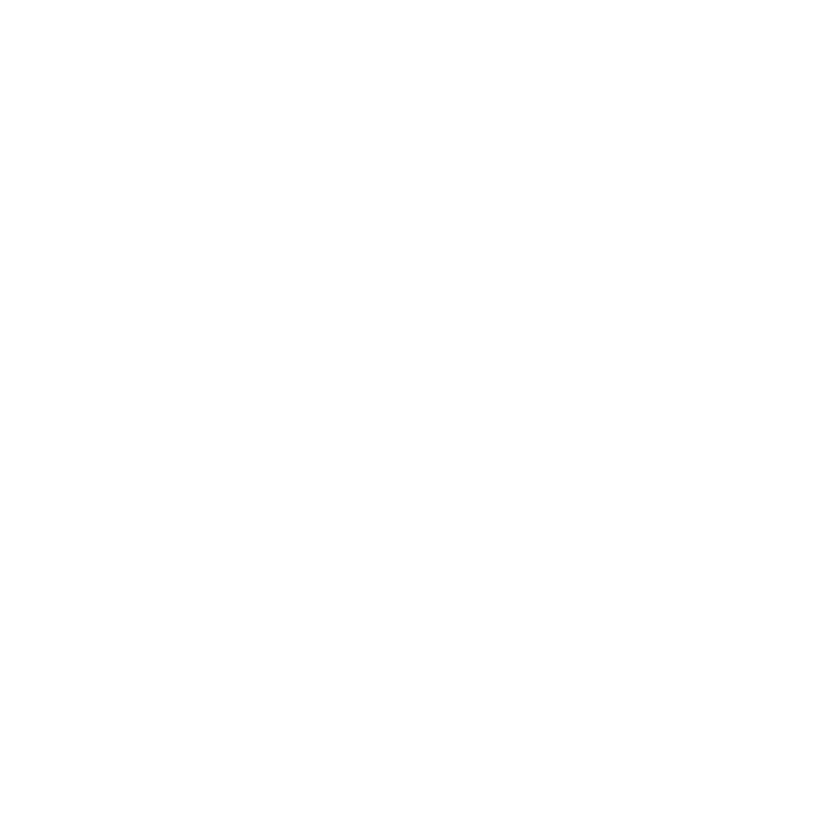 selynor.com